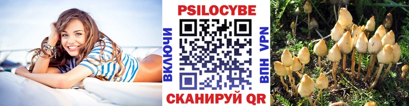 Галлюциногенные грибы Psilocybe  Руза 